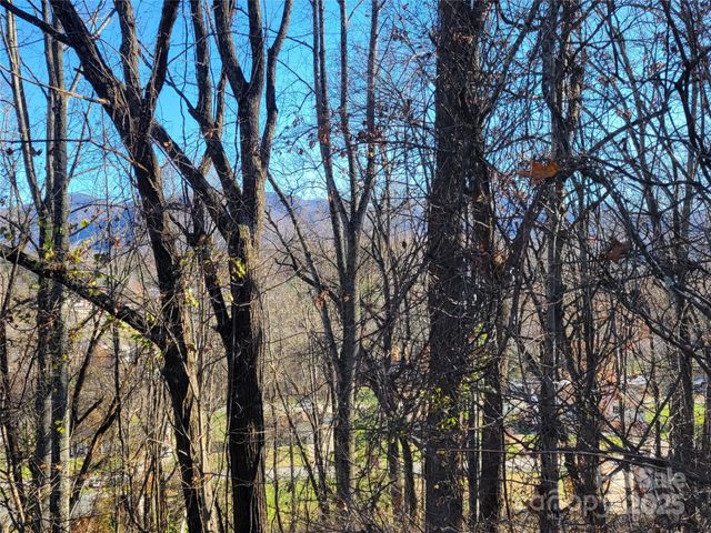 0 Blink Bonny Drive B11, Waynesville, NC 28786