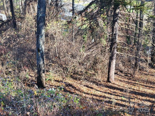 0 Blink Bonny Drive B11, Waynesville, NC 28786