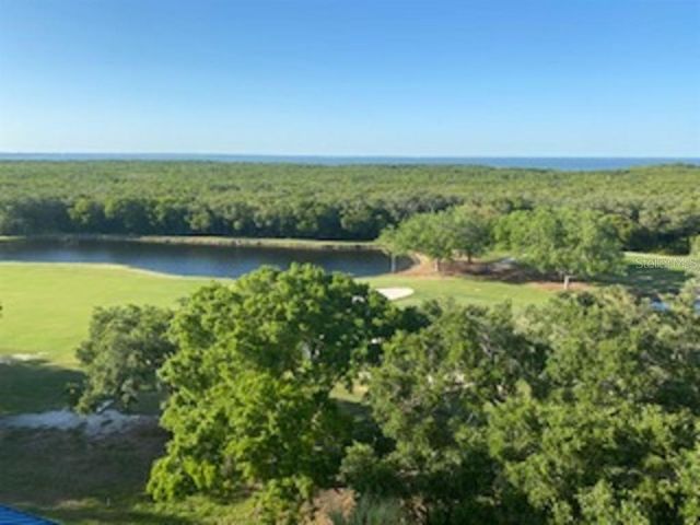 2333 FEATHER SOUND DRIVE B304, Clearwater, FL 33762