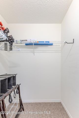 14136 Whitecap Avenue, Hudson, FL 34667