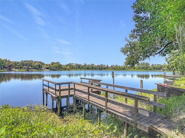 43809 SUNSET DR, Paisley, FL 32767