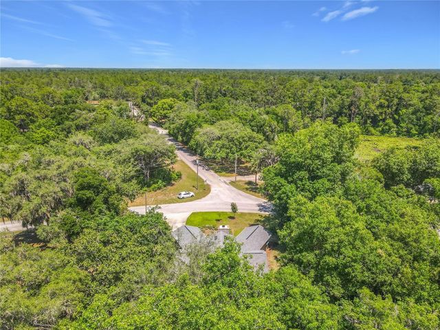 43809 SUNSET DR, Paisley, FL 32767