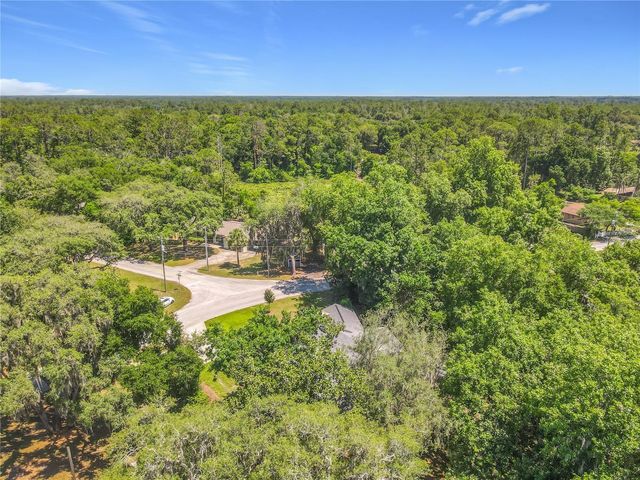 43809 SUNSET DR, Paisley, FL 32767