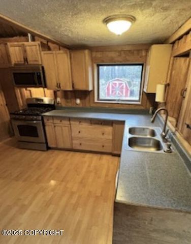 4727 E Shorty Street, Wasilla, AK 99654