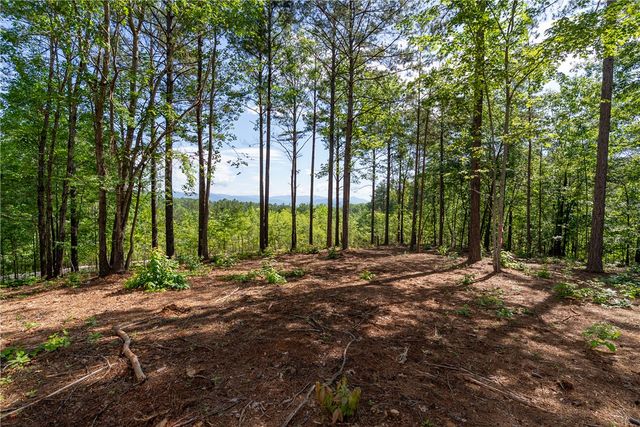 Lot 1 Canebrake Estates, Salem, SC 29676