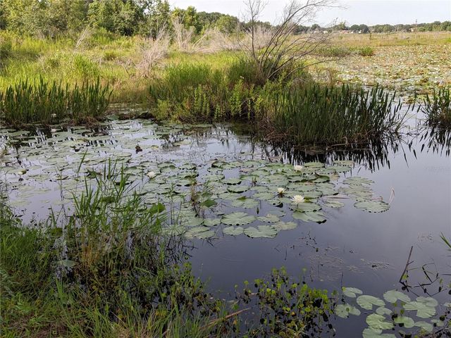 27108 STONEY BROOK DRIVE, Leesburg, FL 34748