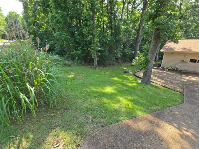 31 Chacoto Drive, Cherokee Village, AR 72529