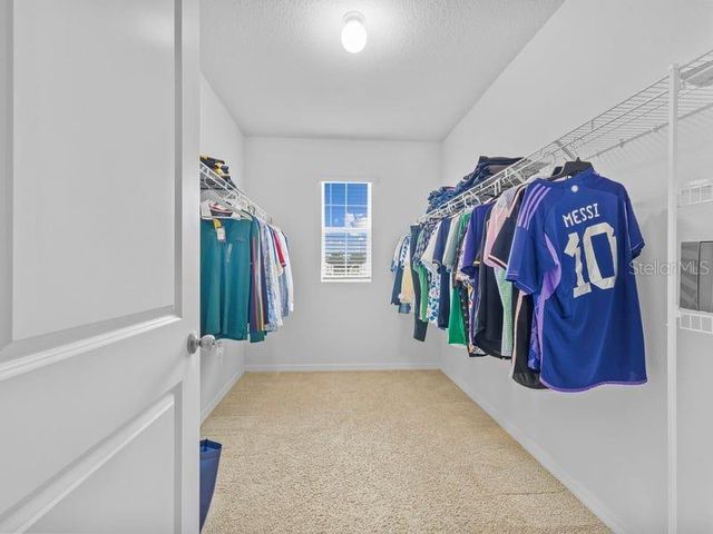 17006 WAVE TRESSLE PLACE, Wimauma, FL 33598