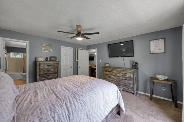 14909 Pine Tree Road, Montgomery, TX 77356