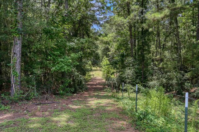 14909 Pine Tree Road, Montgomery, TX 77356