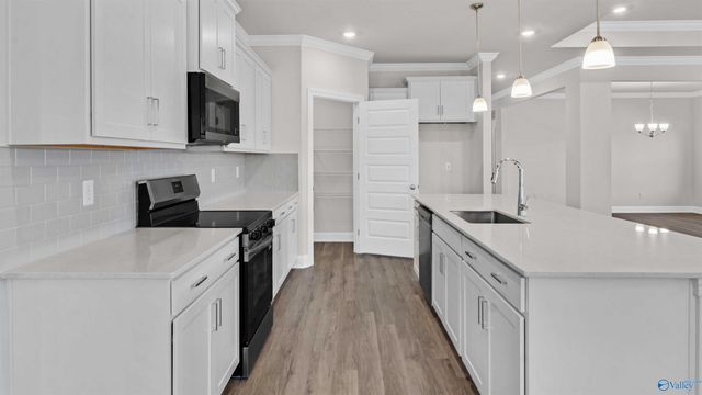 17633 Ruby Drive, Athens, AL 35749