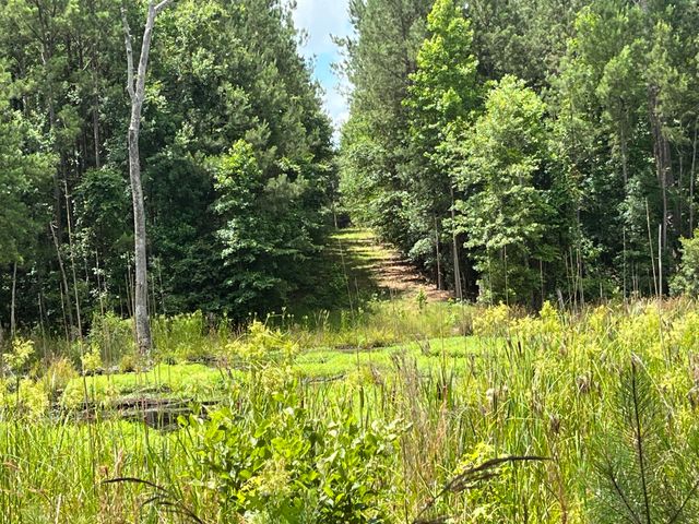 0-A Sniders Highway Interior, Walterboro, SC 29488