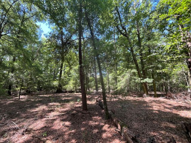 0-A Sniders Highway Interior, Walterboro, SC 29488