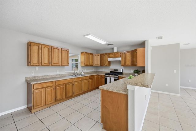 501 W ELLA J GILMORE STREET, Apopka, FL 32703