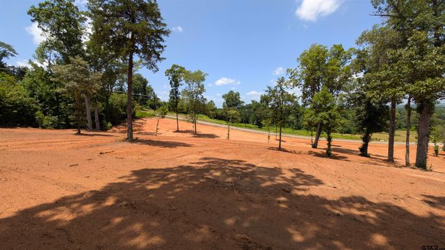 16416 Ridgeline Loop, Winona, TX 75792