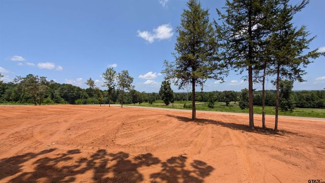 16416 Ridgeline Loop, Winona, TX 75792