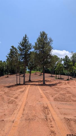 16416 Ridgeline Loop, Winona, TX 75792