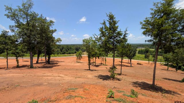 16416 Ridgeline Loop, Winona, TX 75792