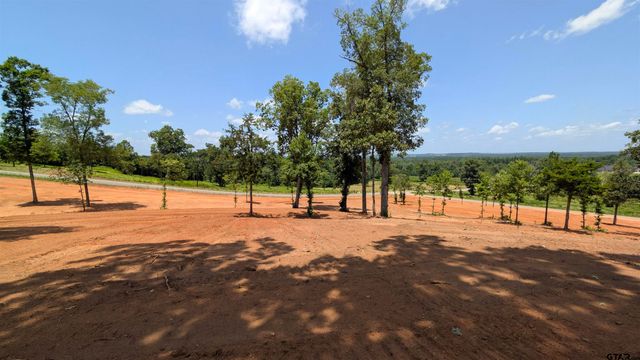 16416 Ridgeline Loop, Winona, TX 75792