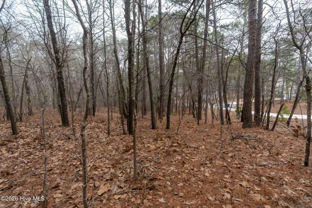 102 Ramsgate Court, West End, NC 27376