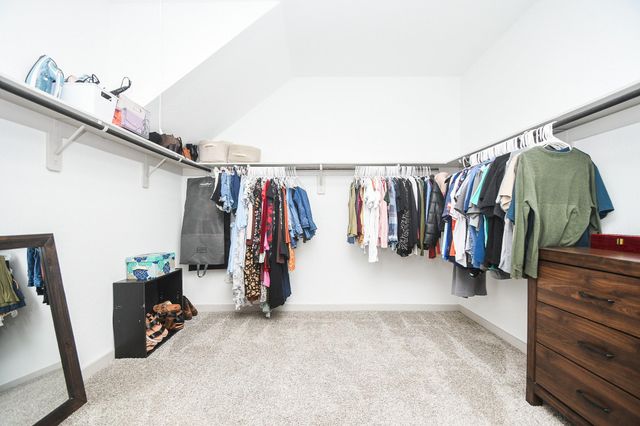 210 Dusty Bridle Lane, Rosharon, TX 77583