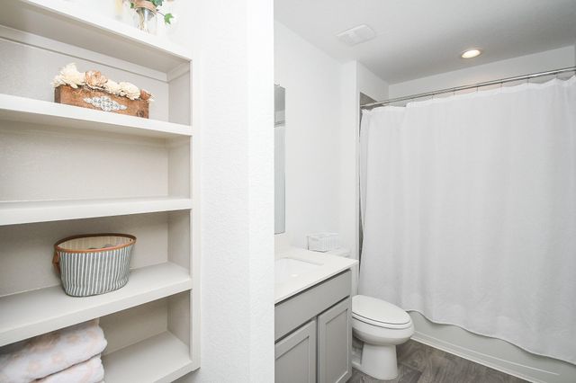 210 Dusty Bridle Lane, Rosharon, TX 77583