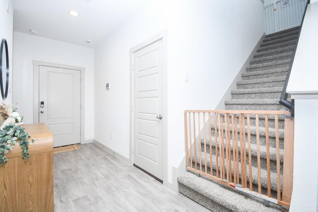 210 Dusty Bridle Lane, Rosharon, TX 77583