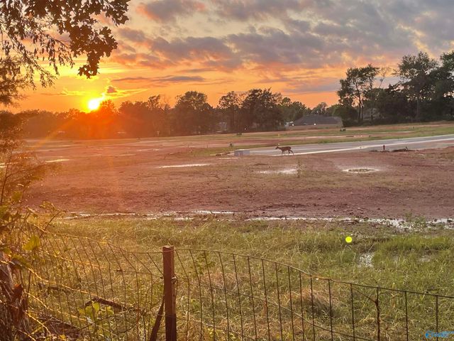 151 Olde Hearth Road, New Market, AL 35761