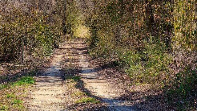 4836 Lillie Lane, Ooltewah, TN 37363
