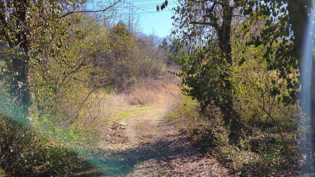 4836 Lillie Lane, Ooltewah, TN 37363