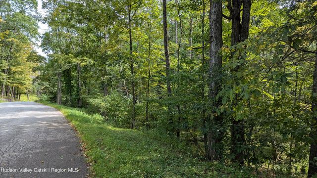 2 Cohen Road, Prattsville, NY 12468