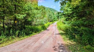 2 Cohen Road, Prattsville, NY 12468