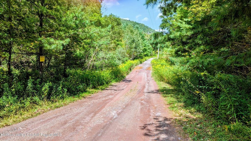 2 Cohen Road, Prattsville, NY 12468