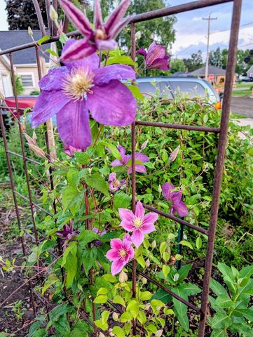 2412 N MORRISON STREET, Appleton, WI 54911