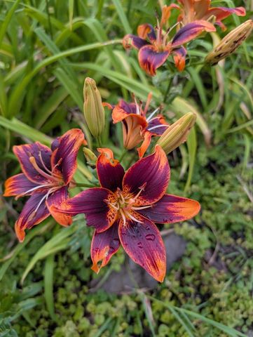 2412 N MORRISON STREET, Appleton, WI 54911