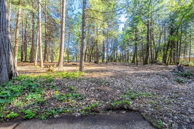 22945 Foresthill Rd, Foresthill, CA 95631