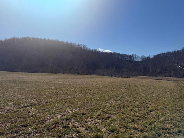 658 Wildie Road, Mt Vernon, KY 40456