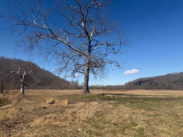 658 Wildie Road, Mt Vernon, KY 40456