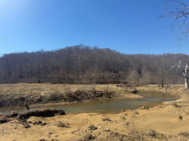 658 Wildie Road, Mt Vernon, KY 40456