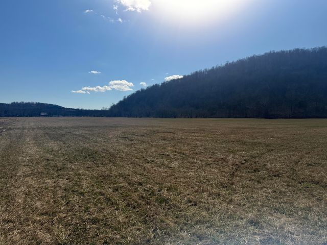 658 Wildie Road, Mt Vernon, KY 40456