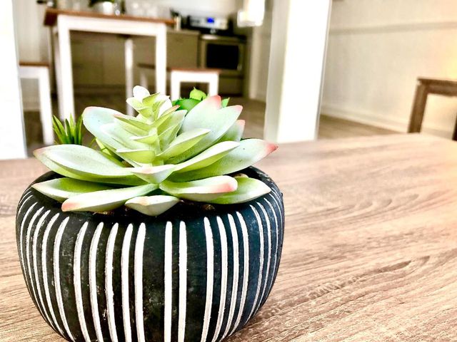 226 S Palmway 1, Lake Worth Beach, FL 33460