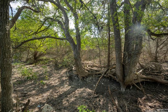 130B Peek Ranch, Comfort, TX 78013