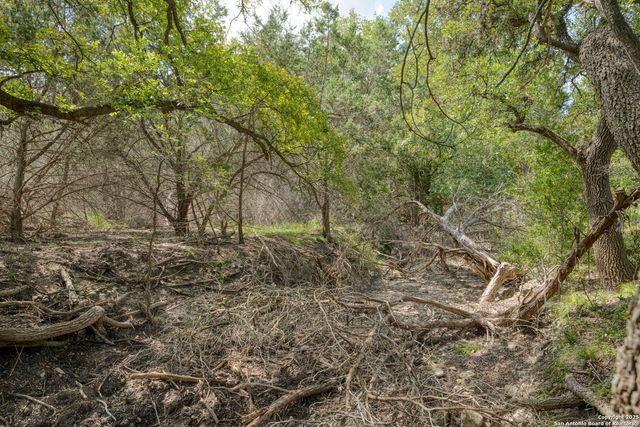 130B Peek Ranch, Comfort, TX 78013