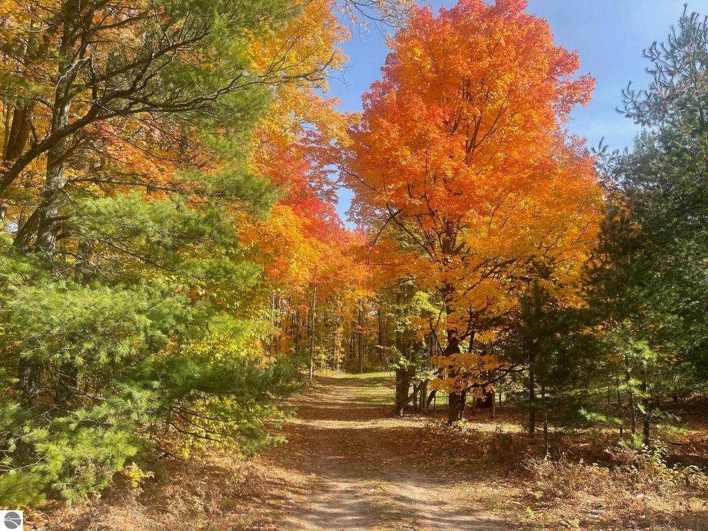 Image 3 of property listing at 5803 SW Old Oak Trail, Fife Lake, MI 49633