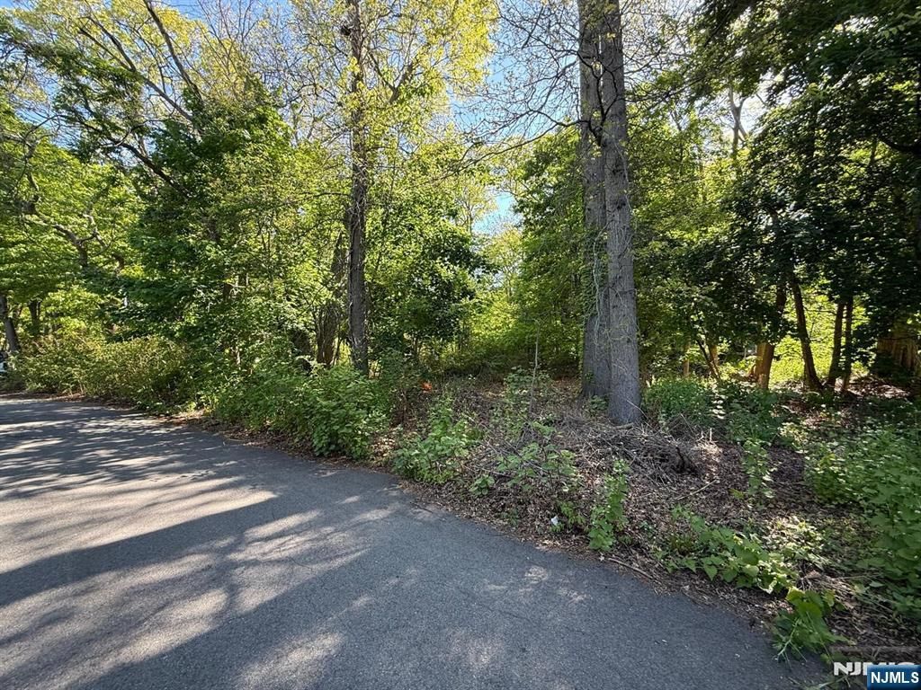 25 Budd Avenue, Mount Olive Township, NJ 07828