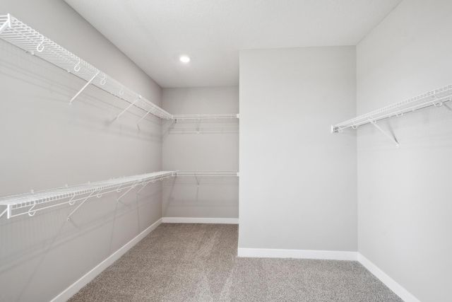 10547 Bent Pine Lane, Woodbury, MN 55129