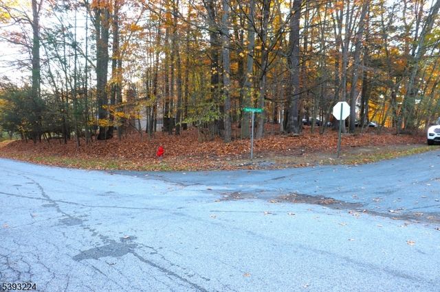 241 Old Chimney Ridge Road, Montague Twp., NJ 07827