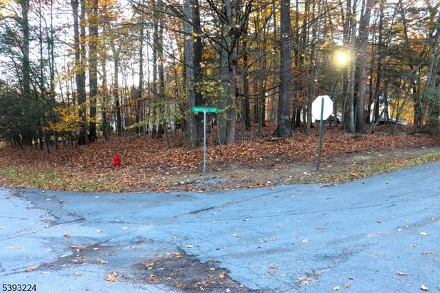 241 Old Chimney Ridge Road, Montague Twp., NJ 07827