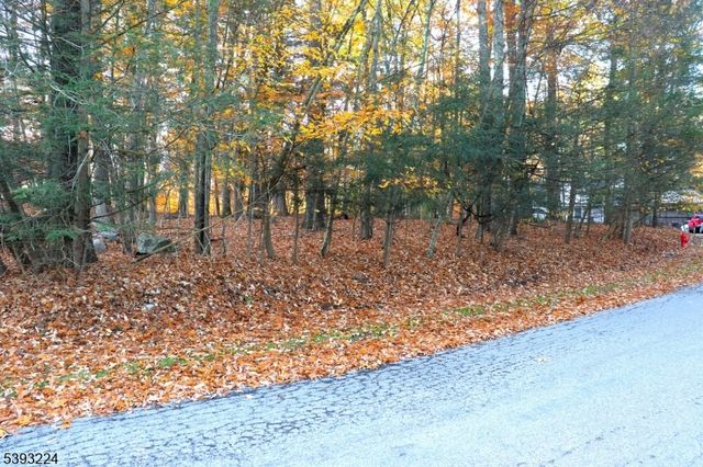 241 Old Chimney Ridge Road, Montague Twp., NJ 07827