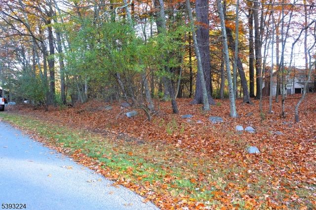 241 Old Chimney Ridge Road, Montague Twp., NJ 07827